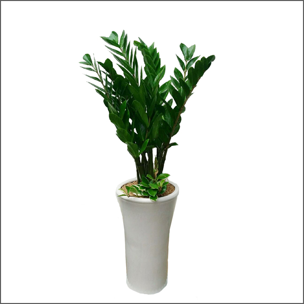 acd6b3ecbb2d491810dd2ba1bba4f791_1442279918_152.jpg